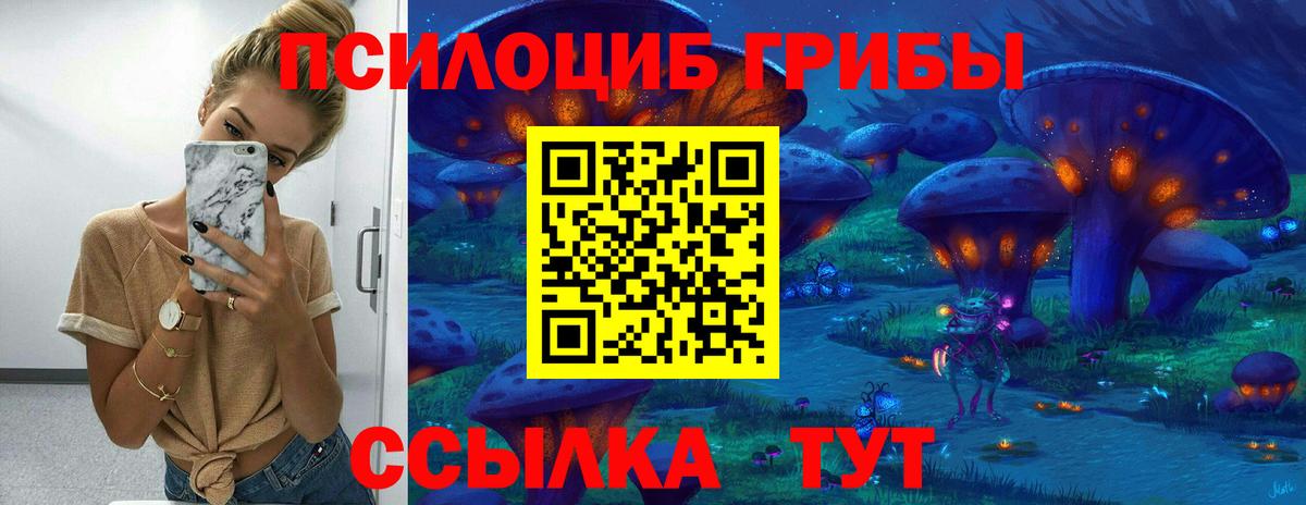 Галлюциногенные грибы прущие грибы Белово